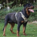 No-Pull Wear-Resistant Bite-Proof Harness for Large Dogs