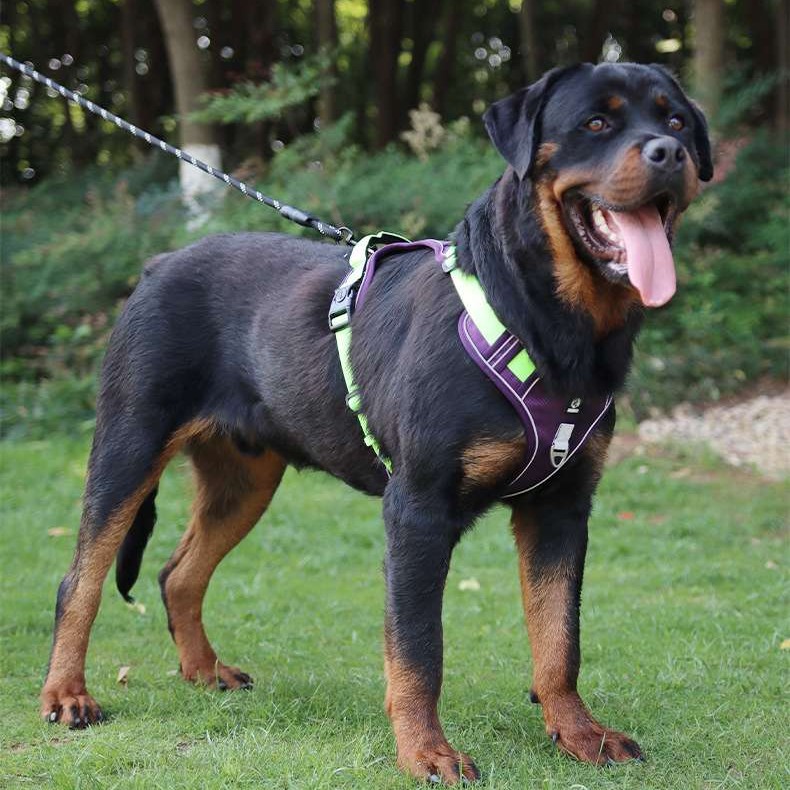 No-Pull Wear-Resistant Bite-Proof Harness for Large Dogs