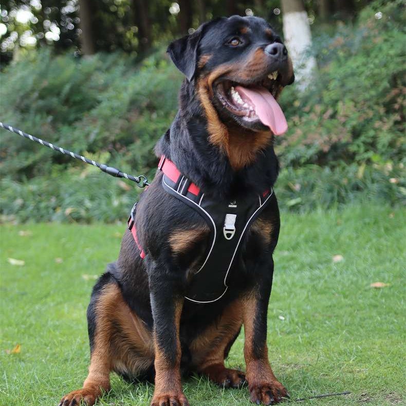No-Pull Wear-Resistant Bite-Proof Harness for Large Dogs