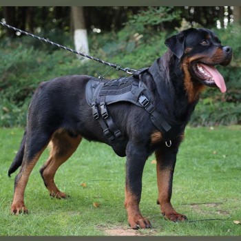 Breathable Tactical Vest Harness for Medium to Large Dogs