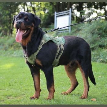 Breathable Tactical Vest Harness for Medium to Large Dogs