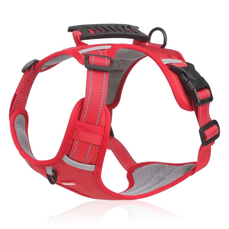 No-Pull Vest Harness for Corgi & Small Dogs