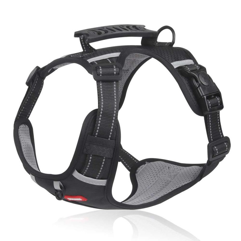 No-Pull Vest Harness for Corgi & Small Dogs