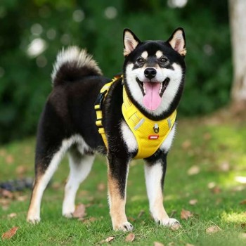 No-Pull Vest Harness for Corgi & Small Dogs