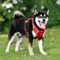 No-Pull Vest Harness for Corgi & Small Dogs