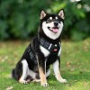 No-Pull Vest Harness for Corgi & Small Dogs