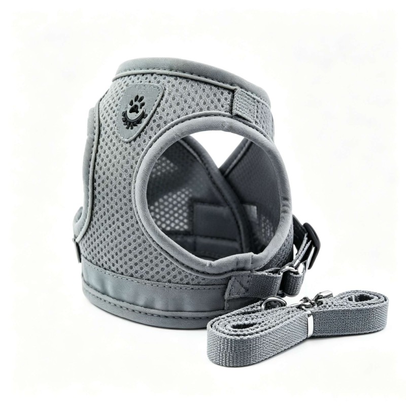 Summer Reflective Mesh Harness & Leash Set for Small Dogs