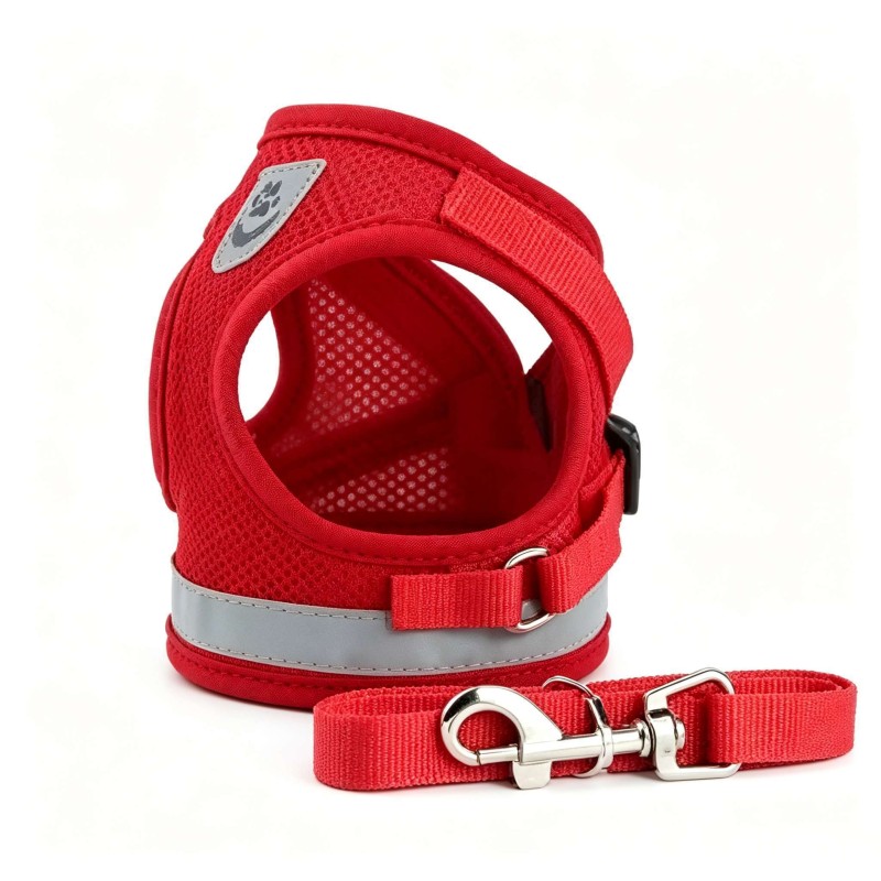 Summer Reflective Mesh Harness & Leash Set for Small Dogs