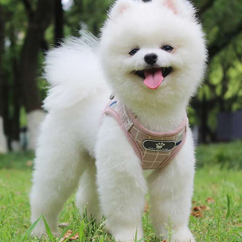 Summer Reflective Mesh Harness & Leash Set for Small Dogs