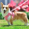 Summer Reflective Mesh Harness & Leash Set for Small Dogs