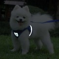 Summer Reflective Mesh Harness & Leash Set for Small Dogs
