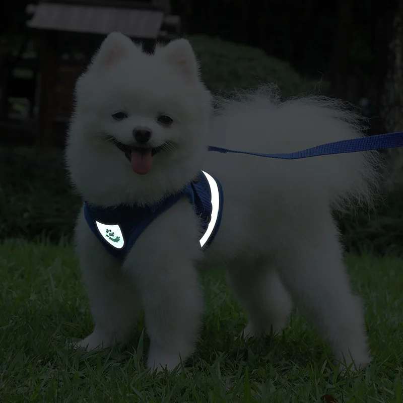 Summer Reflective Mesh Harness & Leash Set for Small Dogs