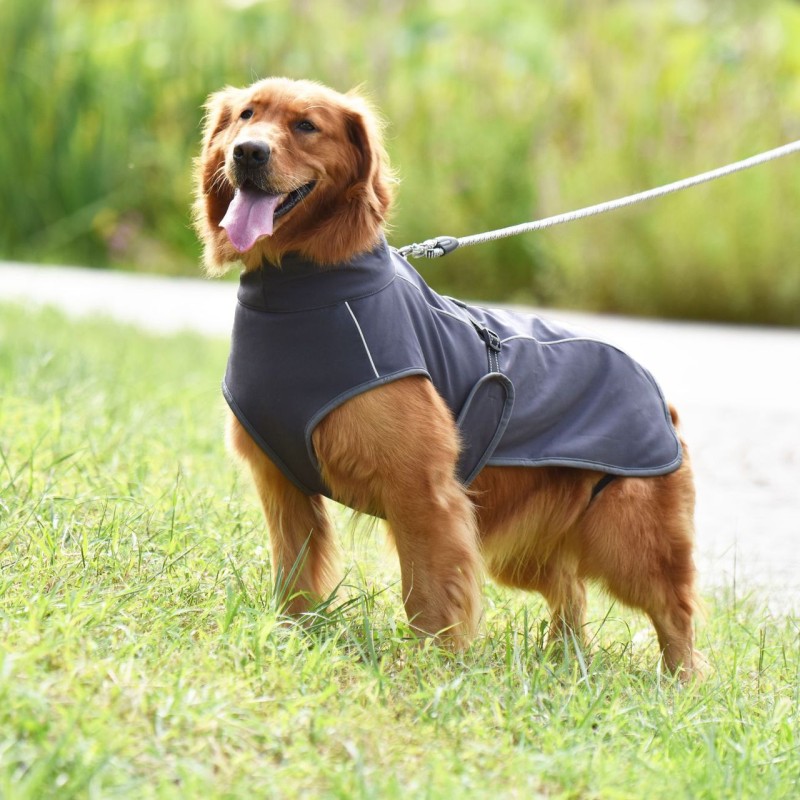 Outdoor Reflective  vest for Large Dogs