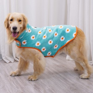 Dog Hoodie