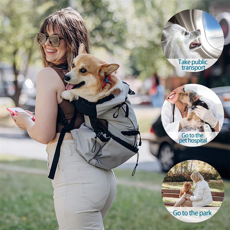 Waterproof Pet Carrier Backpack– Breathable, Lightweight & Travel