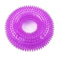 Squeaky Teeth-Cleaning Dog Toy – Spiky TPR Chew for All Breeds