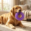Squeaky Teeth-Cleaning Dog Toy – Spiky TPR Chew for All Breeds