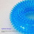 Squeaky Teeth-Cleaning Dog Toy – Spiky TPR Chew for All Breeds