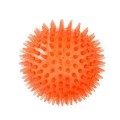 Squeaky Dog Chew Toy – Bouncy, Teeth-Cleaning & Fun