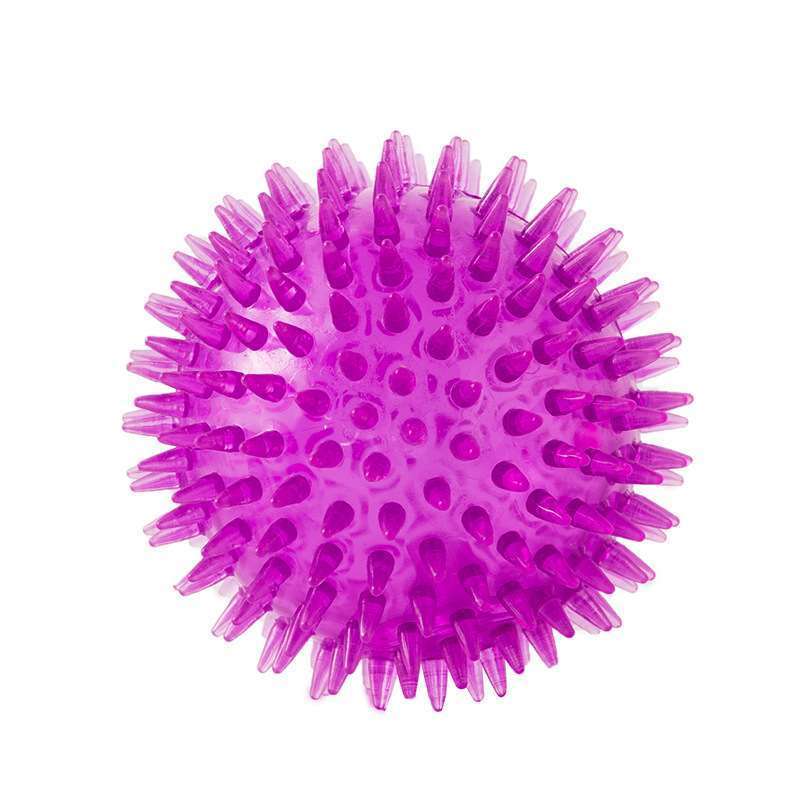 Squeaky Dog Chew Toy – Bouncy, Teeth-Cleaning & Fun
