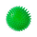 Squeaky Dog Chew Toy – Bouncy, Teeth-Cleaning & Fun
