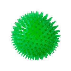 Squeaky Dog Chew Toy – Bouncy, Teeth-Cleaning & Fun