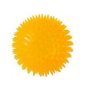 Squeaky Dog Chew Toy – Bouncy, Teeth-Cleaning & Fun
