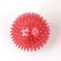 Squeaky Dog Chew Toy – Bouncy, Teeth-Cleaning & Fun