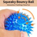 Squeaky Dog Chew Toy – Bouncy, Teeth-Cleaning & Fun