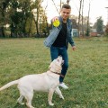 Squeaky Dog Chew Toy – Bouncy, Teeth-Cleaning & Fun