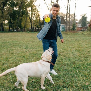 Squeaky Dog Chew Toy – Bouncy, Teeth-Cleaning & Fun