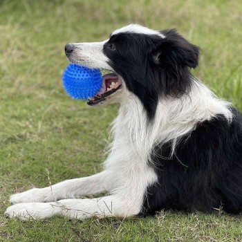 Squeaky Dog Chew Toy – Bouncy, Teeth-Cleaning & Fun