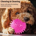 Squeaky Dog Chew Toy – Bouncy, Teeth-Cleaning & Fun