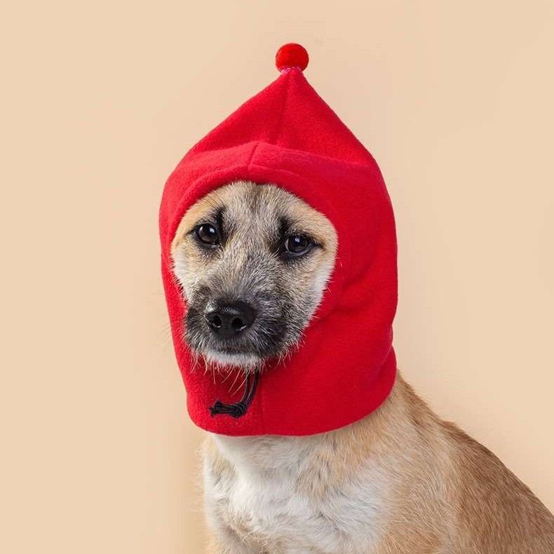 Polar Fleece Pet Hood – Adjustable Windproof Hat