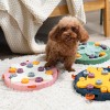 Pet Puzzle Feeding Toy – Interactive Slow Feeder for Mental Stimulation