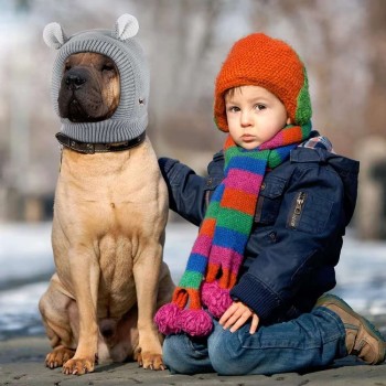 Hand-Knitted Wool Pet Hat – Warm, Soft & Stylish with Cute Ear Design