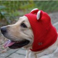 Hand-Knitted Wool Pet Hat – Warm, Soft & Stylish with Cute Ear Design