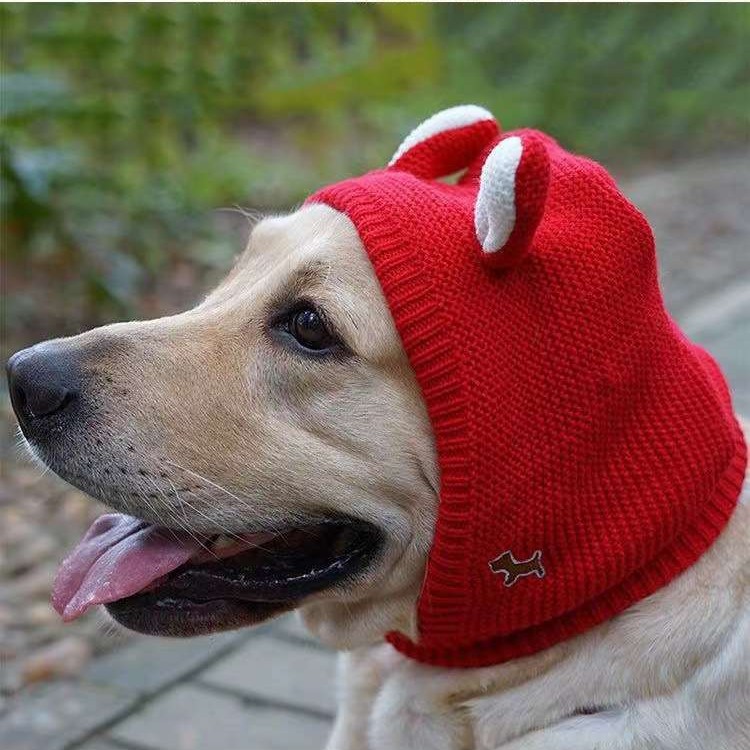 Hand-Knitted Wool Pet Hat – Warm, Soft & Stylish with Cute Ear Design