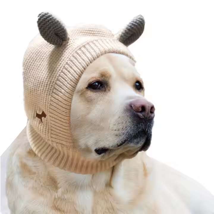 Hand-Knitted Wool Pet Hat – Warm, Soft & Stylish with Cute Ear Design