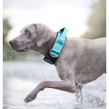 Tactical anti-pull sturdy collar for medium large dogs with great tensile resistance