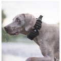 Tactical anti-pull sturdy collar for medium large dogs with great tensile resistance