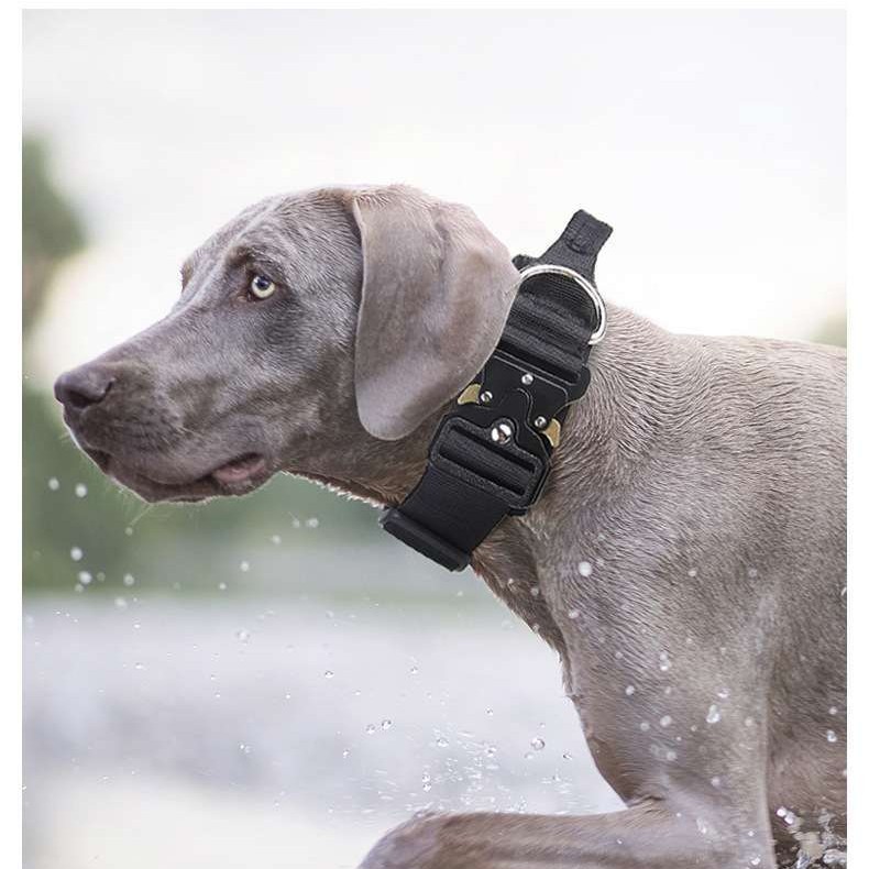 Tactical anti-pull sturdy collar for medium large dogs with great tensile resistance