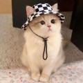 Cute Ear Cutout Summer Sun Protection Hat for Dogs and Cats
