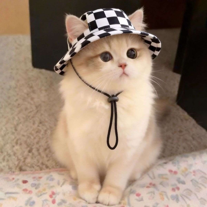 Cute Ear Cutout Summer Sun Protection Hat for Dogs and Cats