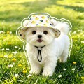 Cute Ear Cutout Summer Sun Protection Hat for Dogs and Cats
