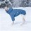 3-in-1 Waterproof Reflective Winter Dog Jacket