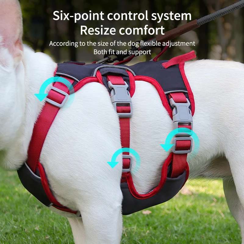 Reflective Shock-Absorbing Dog Harness for Small to Medium Breeds