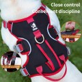 Reflective Shock-Absorbing Dog Harness for Small to Medium Breeds