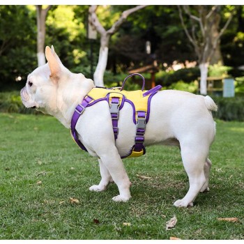 Reflective Shock-Absorbing Dog Harness for Small to Medium Breeds