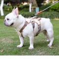 Reflective Shock-Absorbing Dog Harness for Small to Medium Breeds